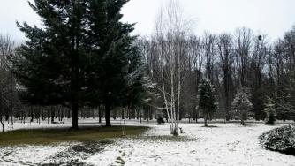 зима