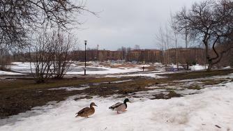 мартовский день в парке