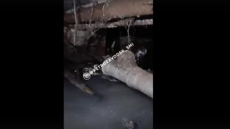 затопленный подвал