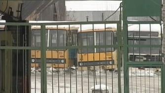 автобусы