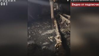 подвал дома
