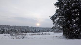 природа зимой