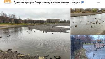 загрязнение