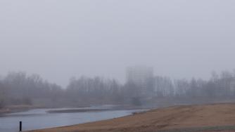 Лососинка