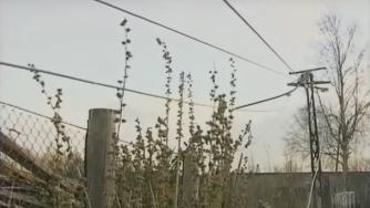провода