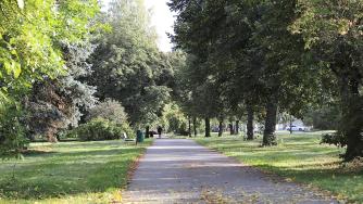 Дорожка ведет через парк.