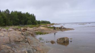 белое_море