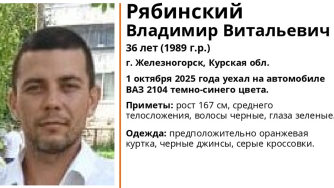 пропавший ЛизаАлерт