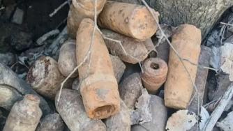 Боеприпасы в лесу