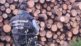 СК, бревна