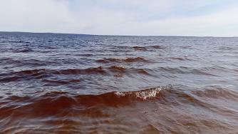 озеро в Петрозаводске