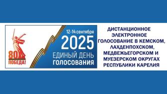 дистанционное голосование