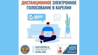 карточка Избиркома Карелии о ДЭГ