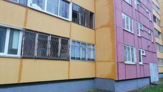 Дом в Ругозерском переулке 