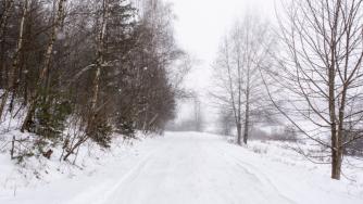 снег на дороге