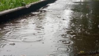 Лужа во время дождя