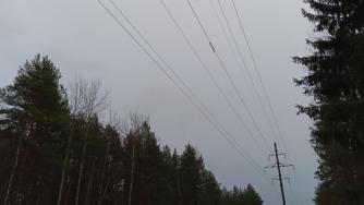 провода_электричество