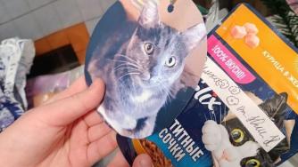 подарки для приюта животных