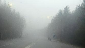 Дождливая дорога