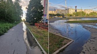 фекалии