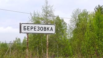 Поселок Березовка Кондопожского района 
