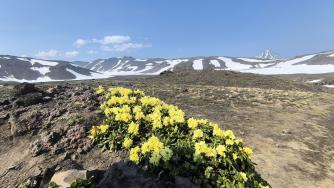 Камчатка