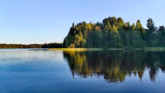озеро, лес, Карелия