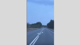 лось переходит трассу Кола