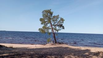 Лето на озере
