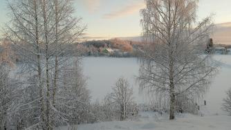 снег_зима_мороз