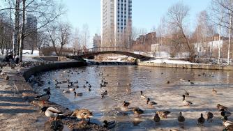 Петрозаводск весной