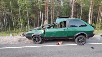 Автомобиль сбил лося