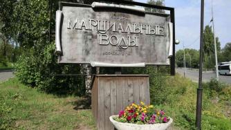марциальны воды
