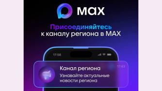 иллюстрация приложения max