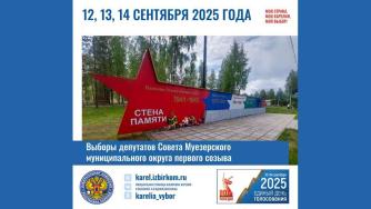 голосование в муезерском мо