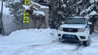 Полиция в лесу