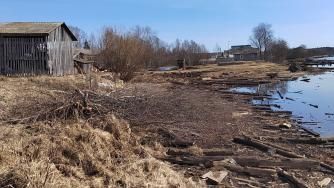 На берегу реки Водла