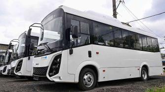 поступление новых автобусов