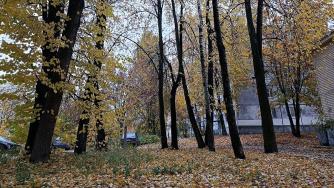 Осень в городе