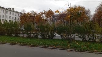 осенняя улица