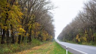 дорога