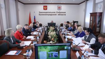 Парламентский комитет