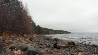 Осень в городе