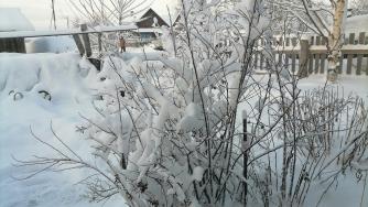 Поселок Валдай Сегежского района