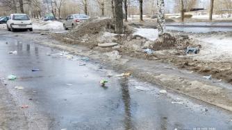 Грязь на улицах Петрозаводска