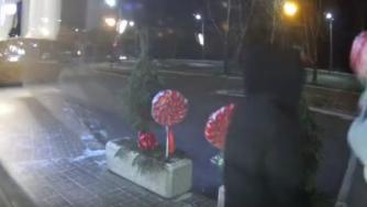 похитители украшения