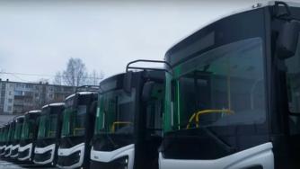 автобусы