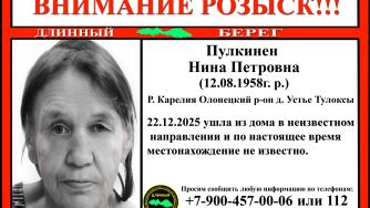 Нина Пулкинен