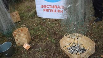 фестиваль ряпушки