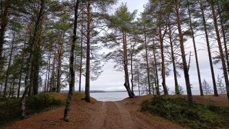Берег озера в селе Шелтозеро
